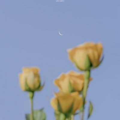 神怒手游破解版下载